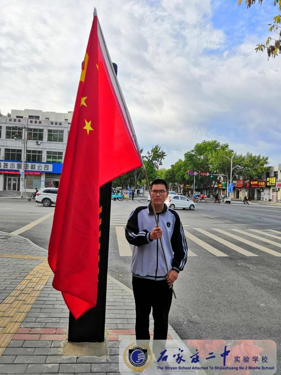 破碎的动物图形